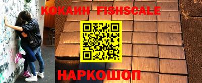 крисы Шахты