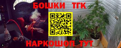 крисы Шахты