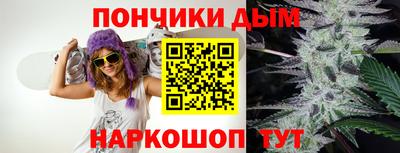 крисы Шахты