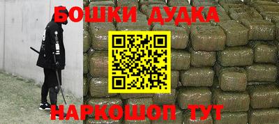 крисы Шахты