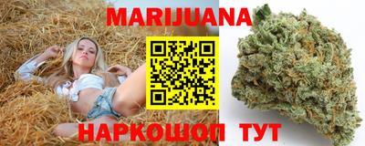 крисы Шахты