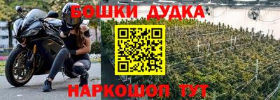 крисы Шахты