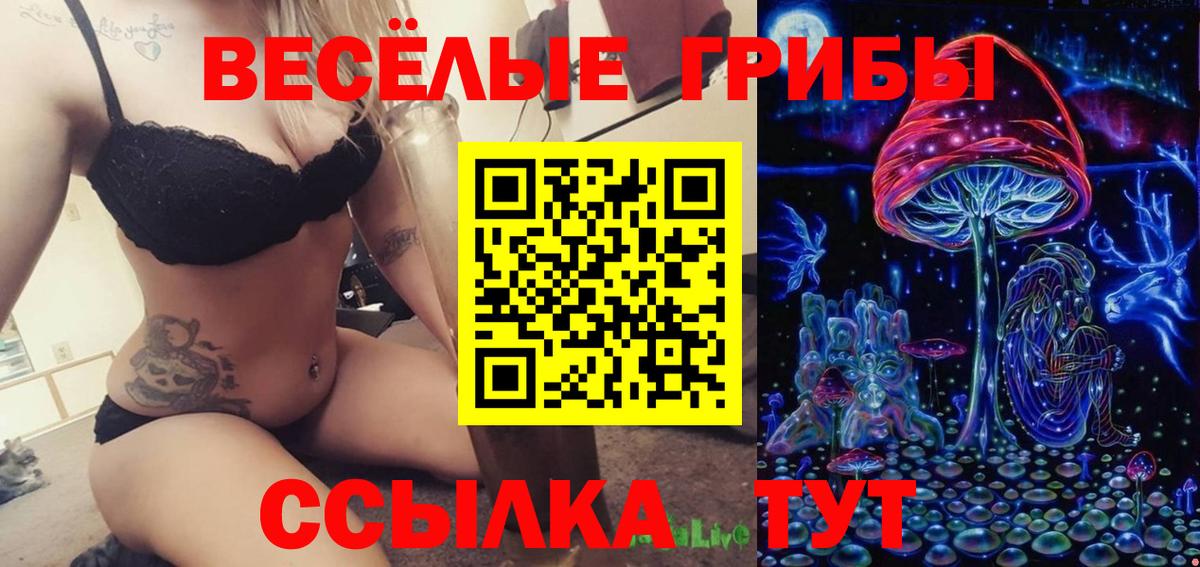 Борзя  Псилоцибиновые грибы Magic Shrooms  Вход с VPN  Псилоцибиновые грибы MAGIC MUSHROOMS 